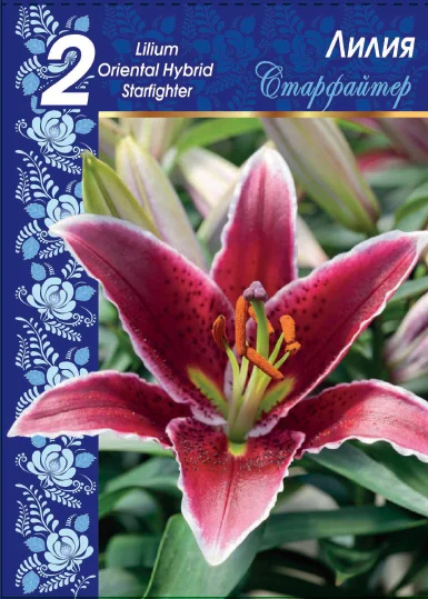 Старфайтер