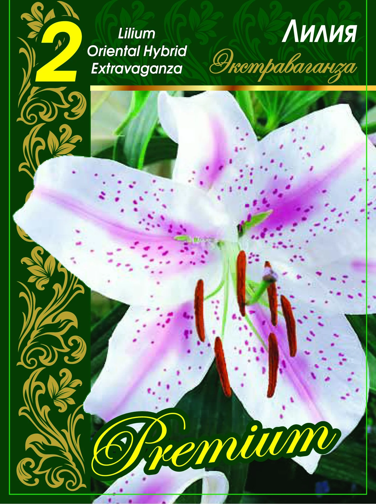 Экстраваганза