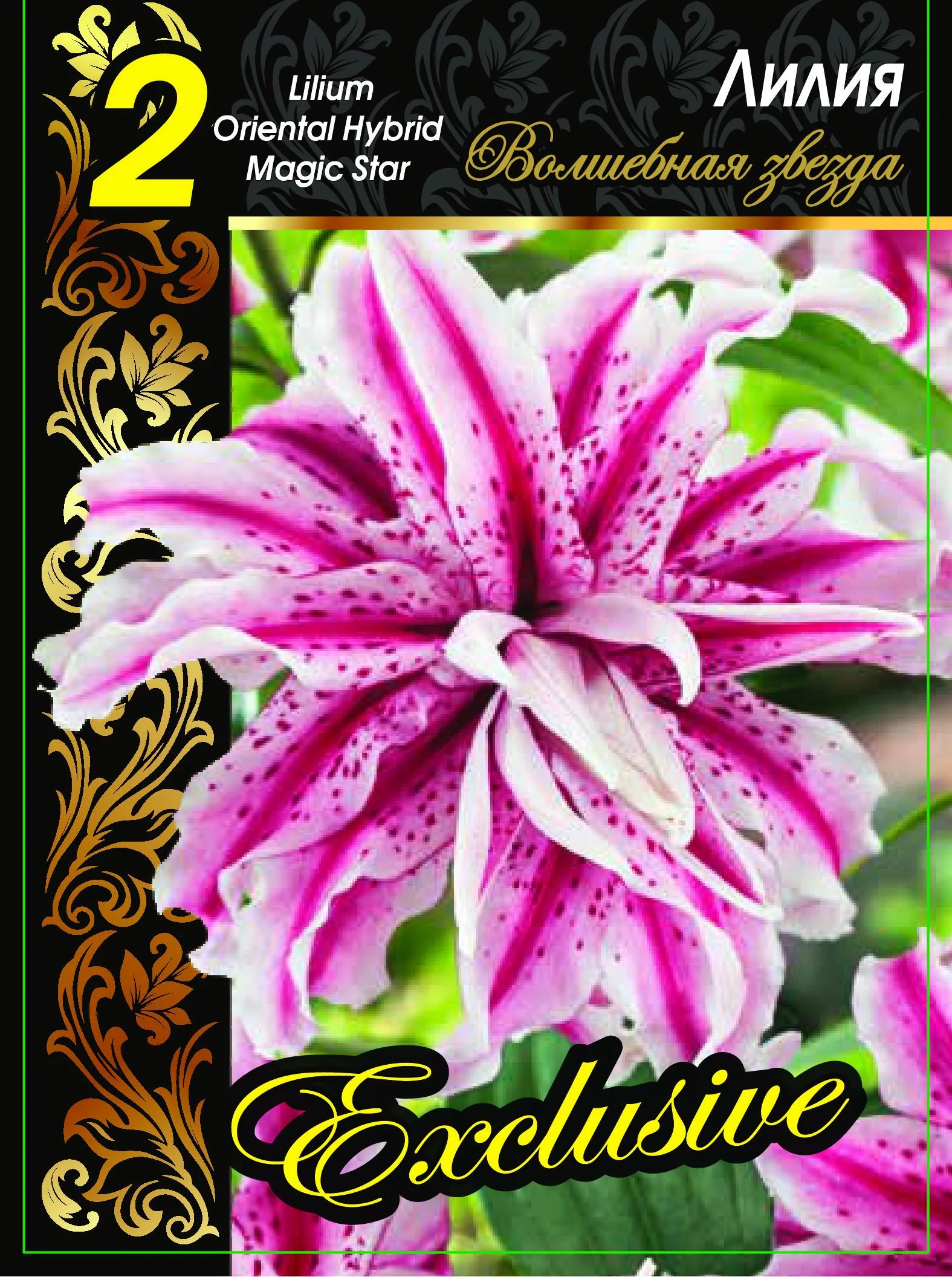 Волшебная звезда