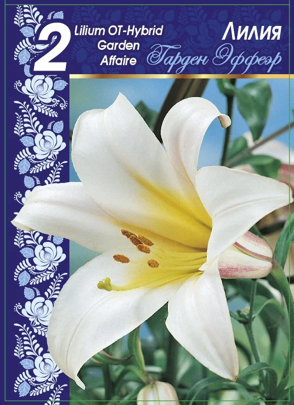 Гарден Эффеэр