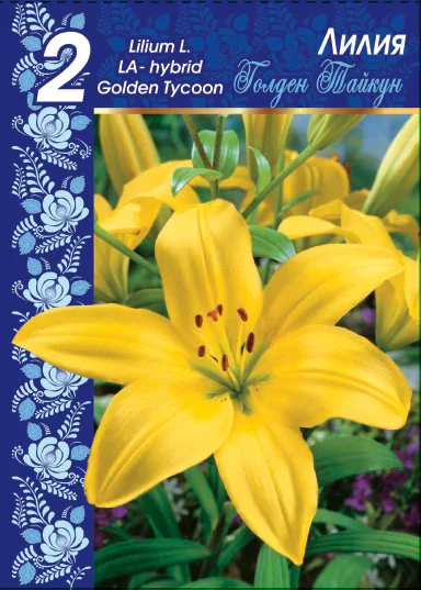 Голден Тайкун