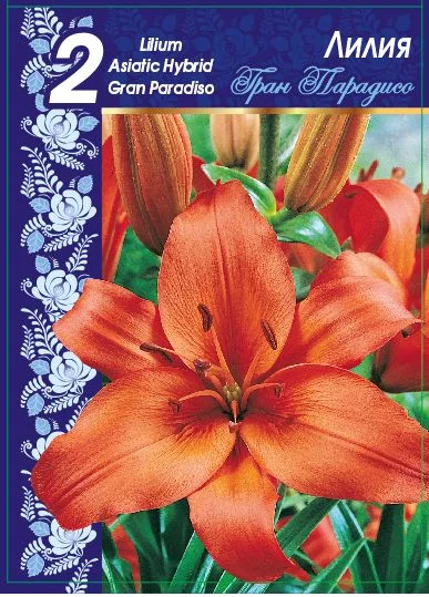 Гран Парадисо