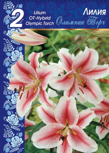 Олимпик Торч