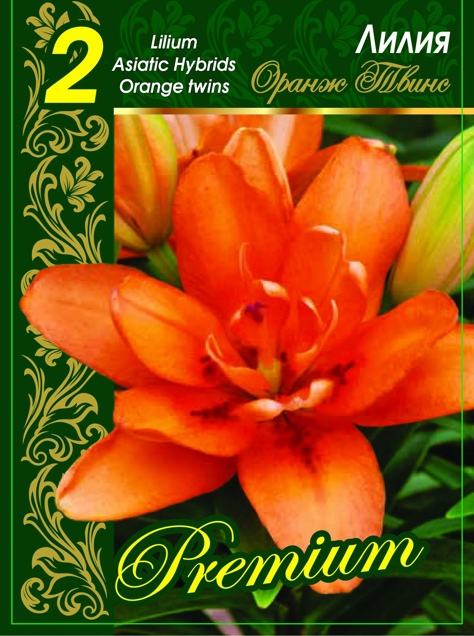 Оранж Твинc