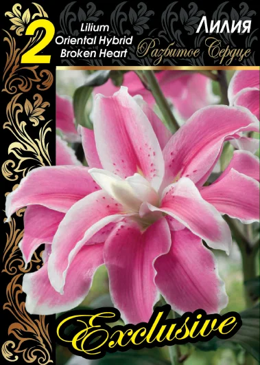 Разбитое Сердце