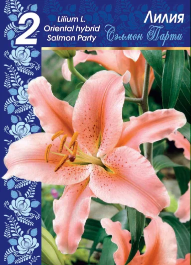 Сэлмон Парти