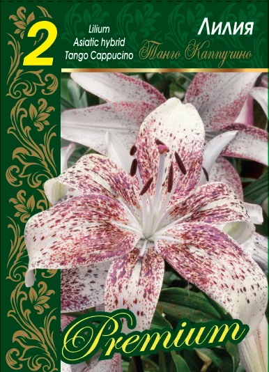 Танго Капуччино