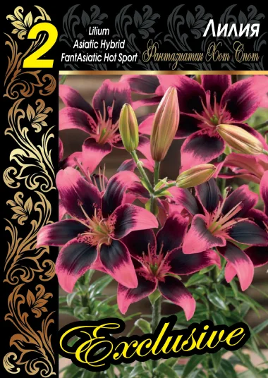 Фантазиатик Хот Спот