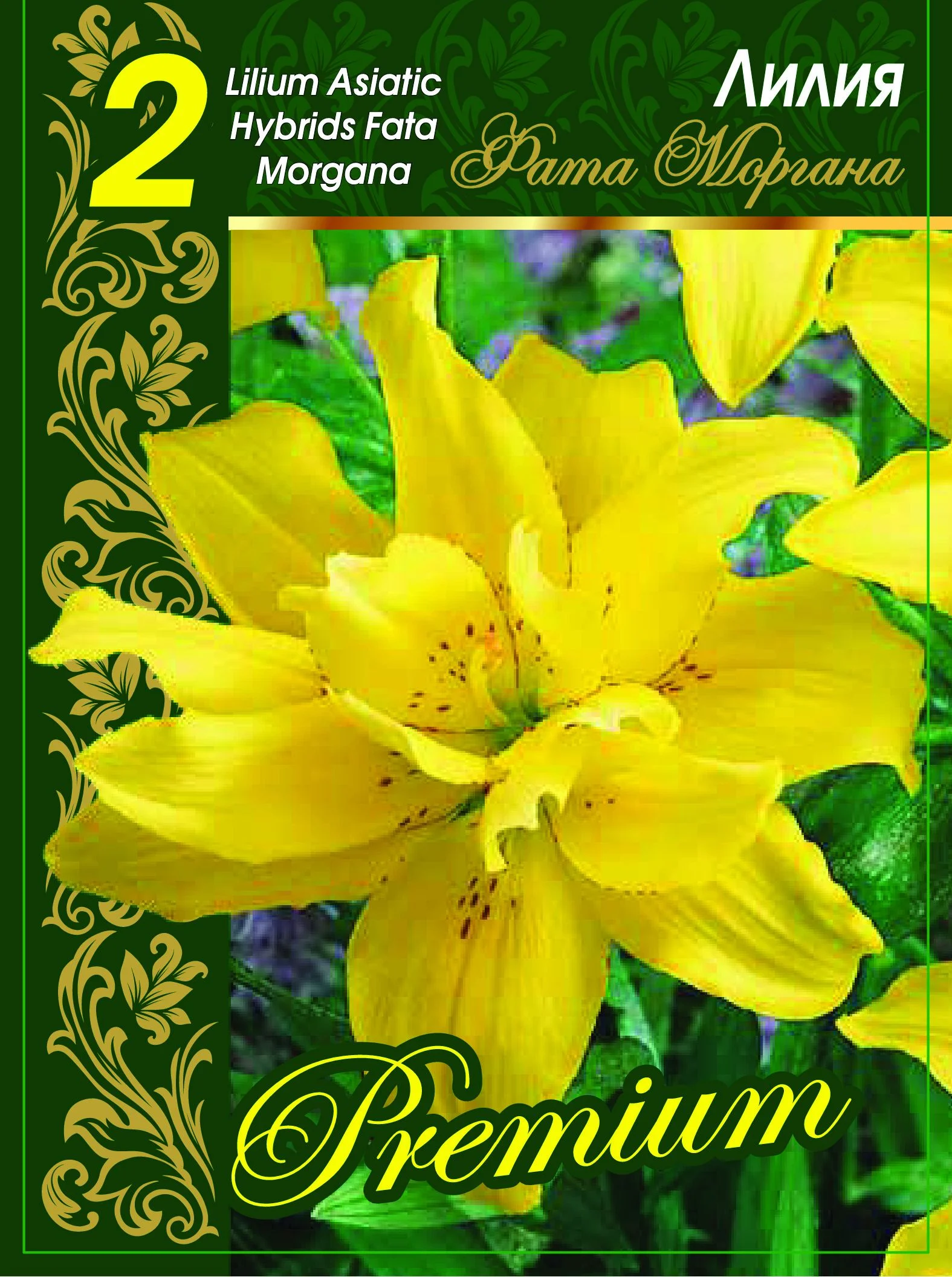 Фата Моргана