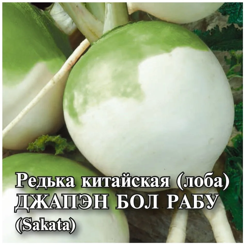 Джапэн Бол Рабу 