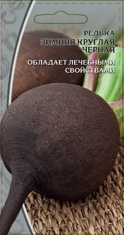 Миниатюра изображения сорта Зимняя круглая черная