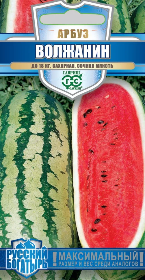 Миниатюра изображения сорта Волжанин