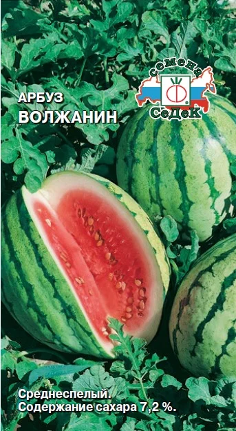 Миниатюра изображения сорта Волжанин