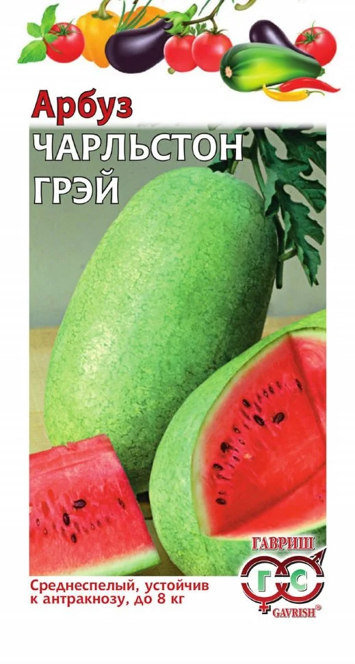 Чарльстон Грэй