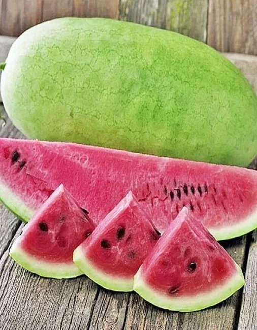 Миниатюра изображения сорта Чарльстон Грэй