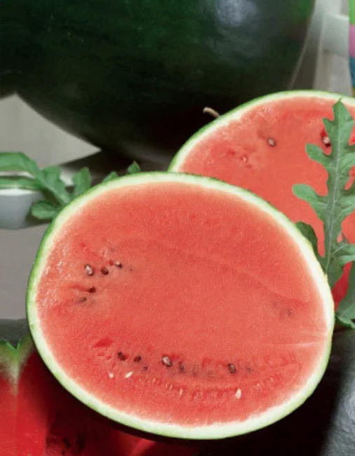 Миниатюра изображения сорта Ультраскороспелый