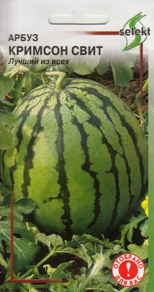 Миниатюра изображения сорта Кримсон Свит