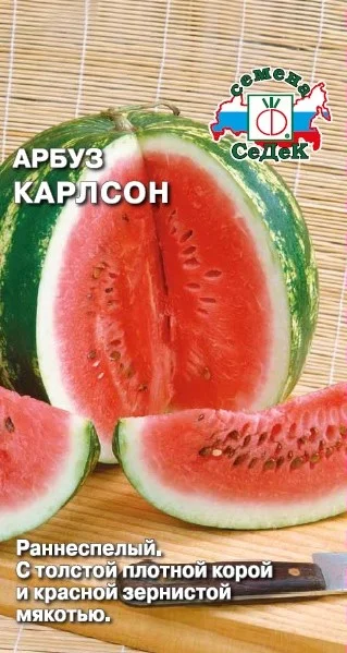 Карлсон