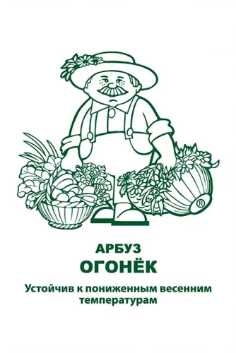 Миниатюра изображения сорта Огонек