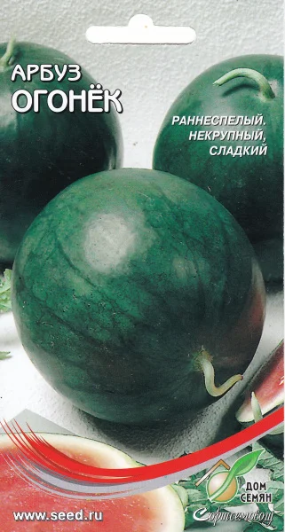 Миниатюра изображения сорта Огонек