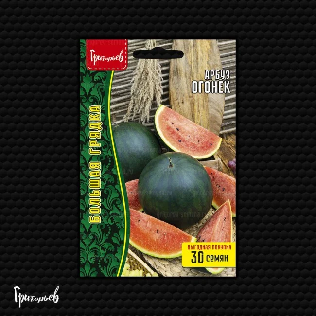 Миниатюра изображения сорта Огонек