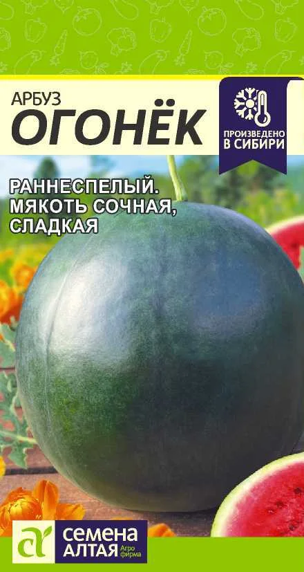 Миниатюра изображения сорта Огонек