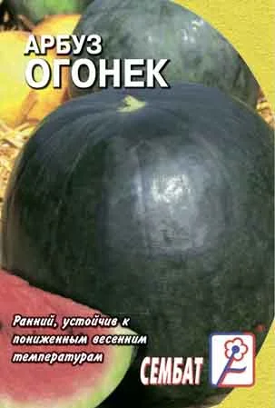 Миниатюра изображения сорта Огонек