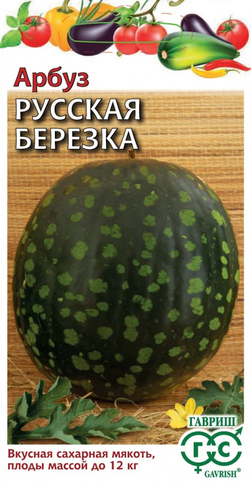 Миниатюра изображения сорта Русская березка