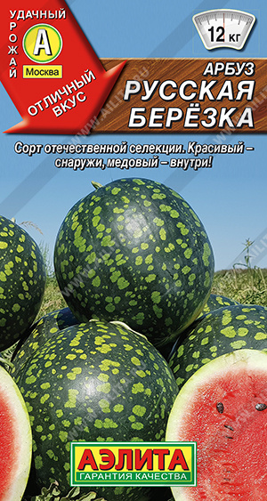 Русская березка