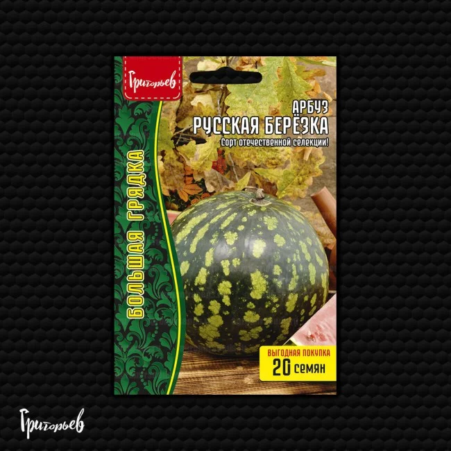 Миниатюра изображения сорта Русская березка