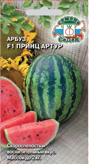 Принц Артур