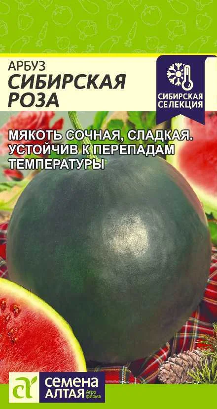 Миниатюра изображения сорта Сибирская Роза
