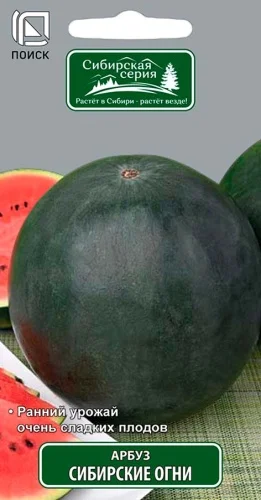 Сибирские огни