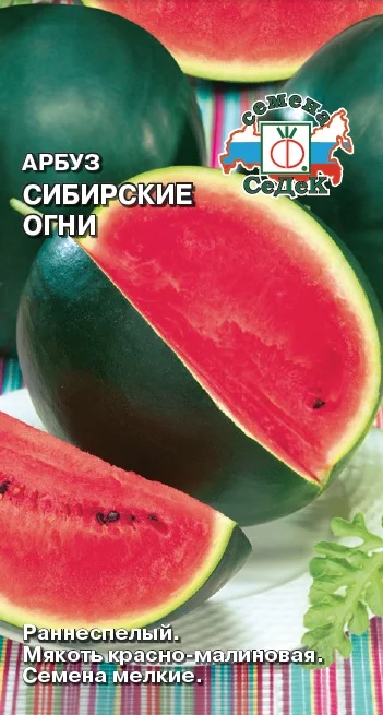 Миниатюра изображения сорта Сибирские огни