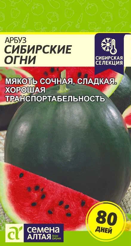 Миниатюра изображения сорта Сибирские огни