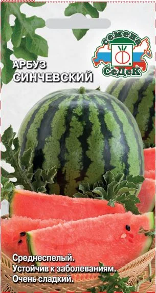 Синчевский