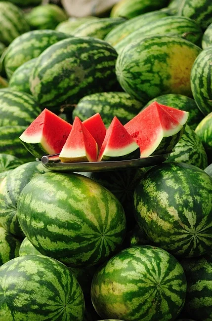 Миниатюра изображения сорта Успех