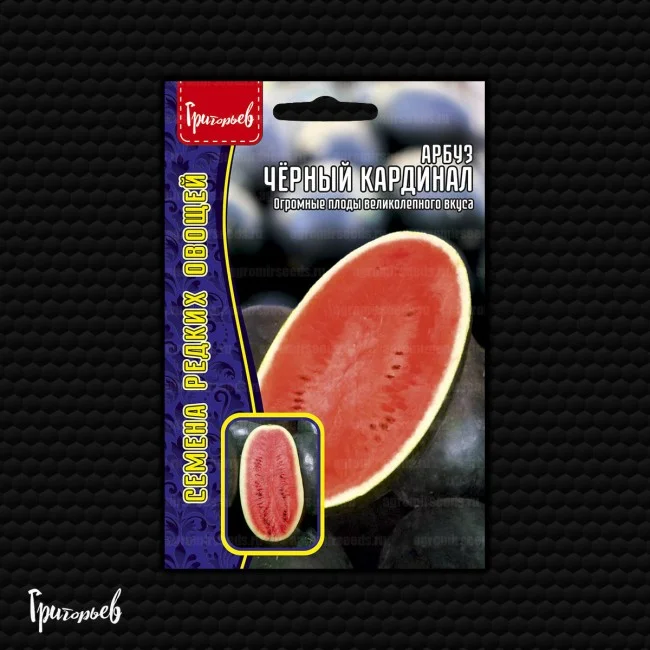 Черный Кардинал