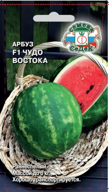 Чудо Востока