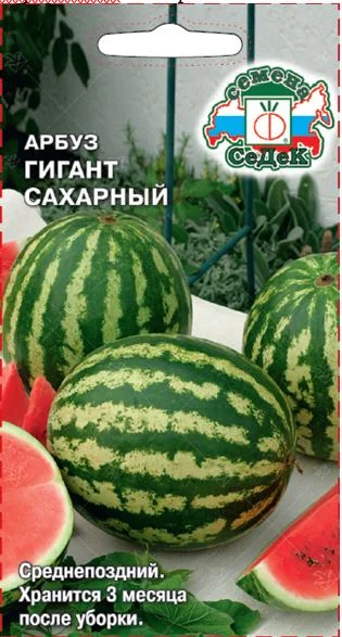Гигант сахарный
