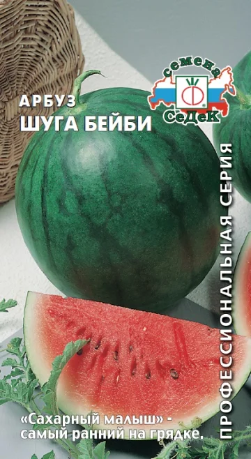 Миниатюра изображения сорта Шуга Бейби