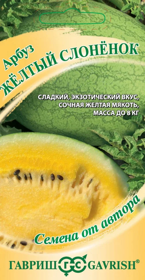 Жёлтый слонёнок