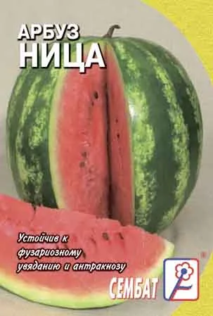 Миниатюра изображения сорта Ница