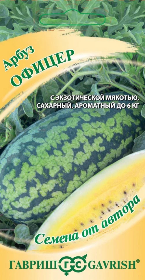 Офицер