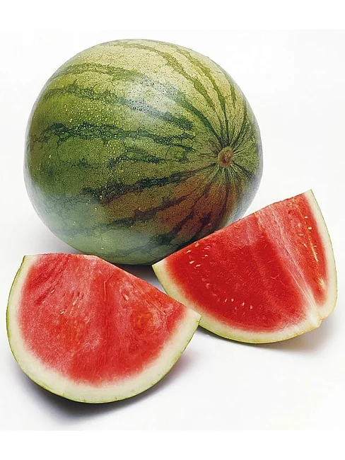 Миниатюра изображения сорта Скорик