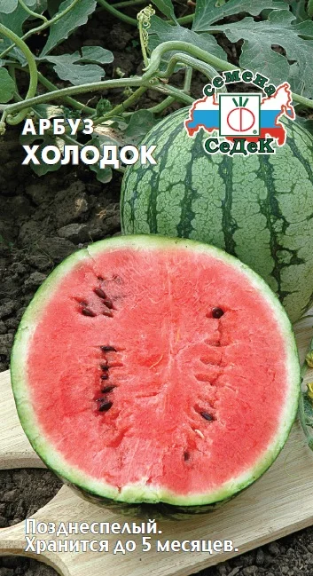 Миниатюра изображения сорта Холодок