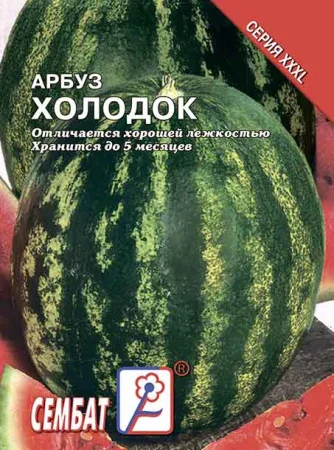 Миниатюра изображения сорта Холодок