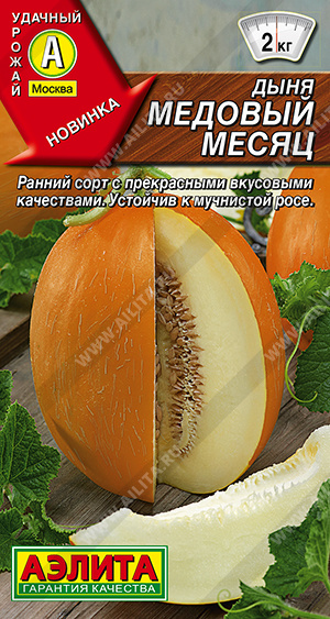 Медовый Месяц