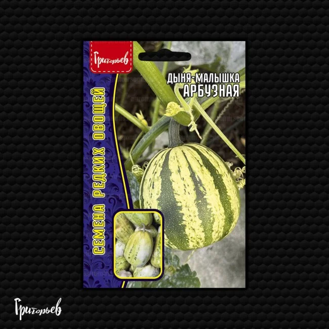Дыня-малышка Арбузная