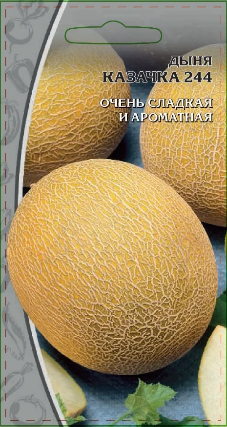 Миниатюра изображения сорта Казачка 244